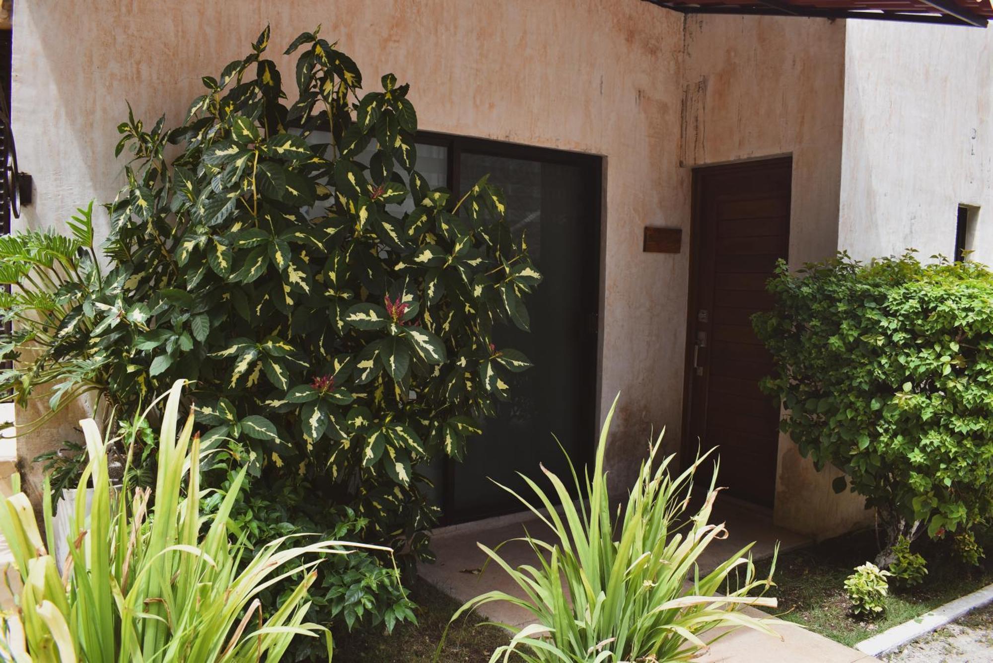 Hotel Boutique Bugambilias วัลลาโดลิด ภายนอก รูปภาพ
